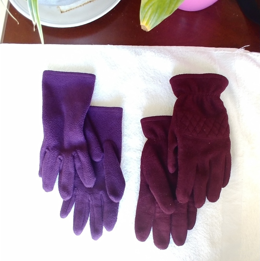 Set of 2 Gloves/Mittens - Picture 1 of 4